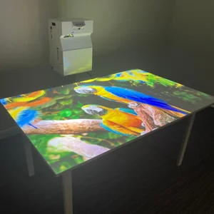 projecció interactiva